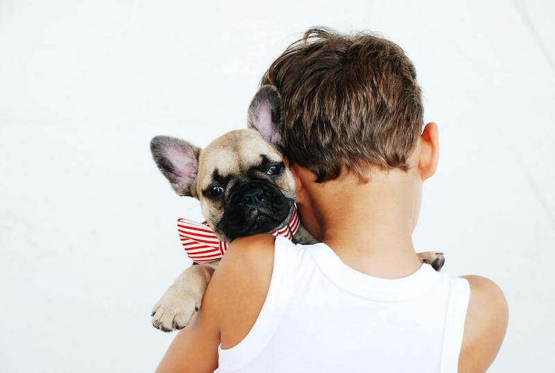 frenchie with kid