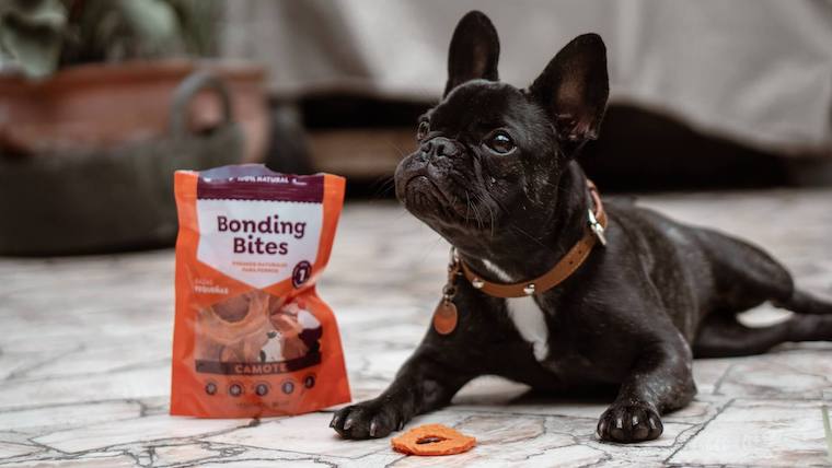 dod food for french bulldogs