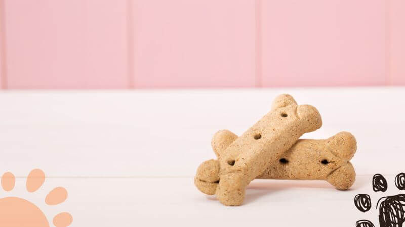 Bone shaped dog treats on pink wooden wall