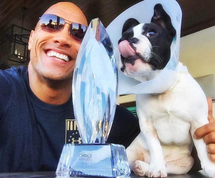 Dwayne Johnson with Frenchie