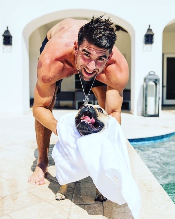 Michael Phelps drying a French Bulldog