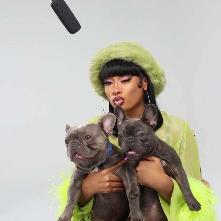 Megan Thee Stallion with Frenchie