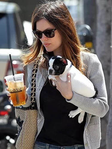 Rachel Bilson with a Frenchie