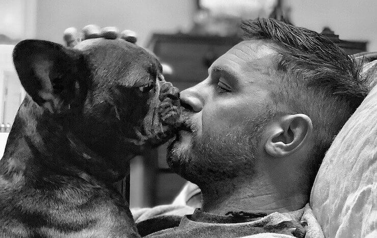 Tom Hardy with French Bulldog