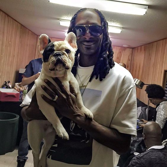 celebrities with french bulldogs snoop dogg