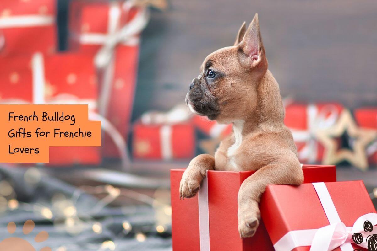 25 Best French Bulldog Gifts for the Frenchie Lover in Your Life - Petlity