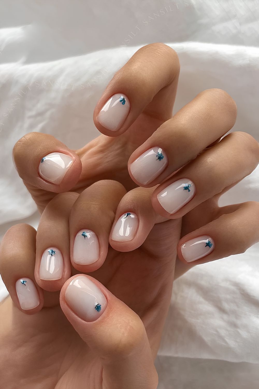 Short milky white nails with tiny dried dark blue floral accents on each nail